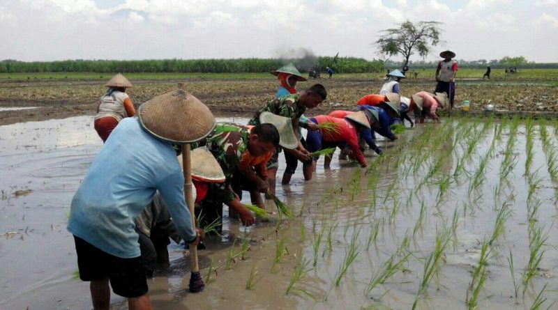 Biarpun Panas Matahari Menyengat Babinsa Koramil Geneng Tetap