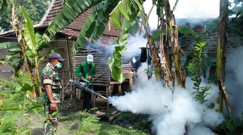 Antisipasi Merebaknya DBD Babinsa Ngale Dampingi Petugas Puskesmas