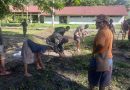 Kemanunggalan Satgas Yonif 126/KC Laksanakan Karya Bakti Bersama Warga Perbatasan Papua