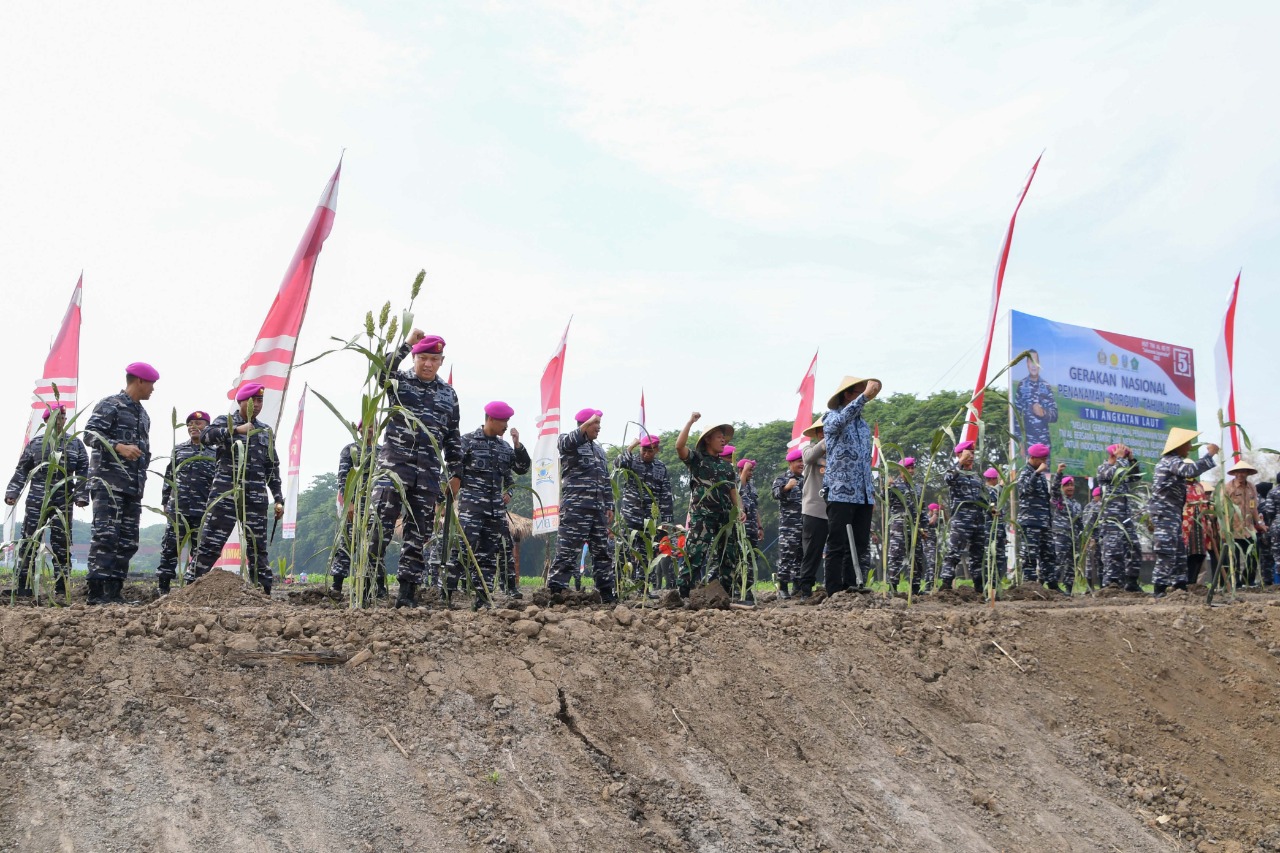 Wujudkan Swasembada Pangan Danmenkav Marinir Tanam Sorgum Serentak