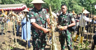 Panen Raya Jagung di Nganjuk, Kapoksahli : Petani Pahlawan Pangan
