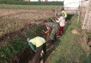 Gotong Royong, Babinsa Kodim 0802/Ponorogo Bersama Warga Kerja Bakti Bersihkan Parit