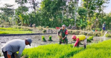 Ketahanan Pangan dan Dampaknya Bagi Bangsa Indonesia