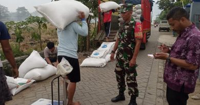 Babinsa Trenggalek Dampingi Penyerapan 16 Ton Gabah, TNI Konsisten Jaga Swasembada Pangan