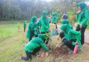 HUT ke-80 Persit Kartika Chandra Kirana, Aksi Tanam Pohon di Trenggalek Jadi Wujud Nyata Peduli Lingkungan