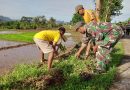 Anggota Kodim Ponorogo Bersama Masyarakat Kerja Bakti Bersihkan Rumput