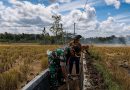 Serda Yudha Bersama Petani Normalisasi Irigasi, Dukung Ketahanan Pangan