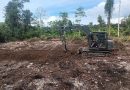 TMMD Ke-129 Tuntaskan Pembukaan Lahan 1 Hektar, Siap Ditanami untuk Perkuat Ketahanan Pangan Kampung Sesor
