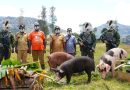 Menembus Batas Alam Ugimba: Koops TNI Habema Hadirkan Kembali Negara di Bawah Kaki Gunung Cartenz Setelah 15 Tahun Terisolasi