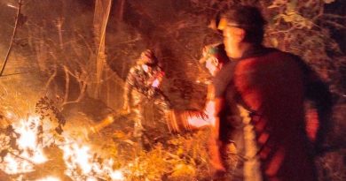 TNI-Polri dan BPBD Padamkan Kebakaran Hutan 3,5 Hektare di Trenggalek