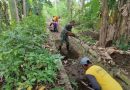 Perkuat Ketahanan Pangan, Babinsa dan Petani Desa Sukoharjo Gotong Royong Bersihkan Irigasi