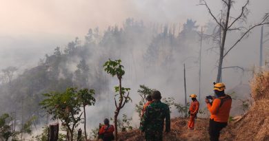 Hutan di Wilayah Binaan Terbakar, Babinsa Kodim Ponorogo dan Unsur Terkait Lakukan Pemadaman