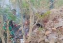 Koramil Tanggunggunung Gerak Cepat Padamkan Kebakaran Hutan di Desa Ngepoh