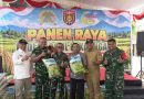 Panen Raya Padi Unggul Lokal Ngawi, Danrem Untoro Puji Produktivitas