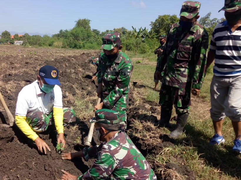 Danrem 081/DSJ Berupaya Wujudkan Kemandirian Pangan Di Tengah Pandemei ...