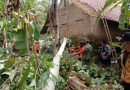 Babinsa Koramil 0806/06 Gandusari Bersama Masyarakat Gotong Royong Bersihkan Pohon Tumbang Yang Menimpa Rumah Warga