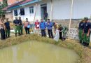 Sukseskan Program Ketahanan Pangan, Babinsa Koramil 0801/01 Pacitan Tebar Benih Ikan