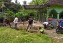 Inspirasi Kemanunggalan : Anggota TNI dan Warga Satu Jiwa dalam Jumat Bersih di Trenggalek