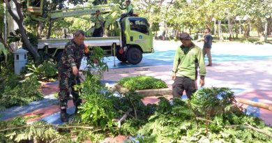 Babibsa Koramil 01/Menteng Dan Sudin Pertemanan Laksanakan Penopingan Pohon