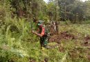 Sukseskan Program Ketahanan Pangan Wilayah, Babinsa Koramil Kuala Kencana Bantu Warga Buka Lahan Pertanian Baru