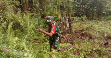 Sukseskan Program Ketahanan Pangan Wilayah, Babinsa Koramil Kuala Kencana Bantu Warga Buka Lahan Pertanian Baru