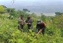 TNI AD Menyatu dengan Alam, Hijaukan Gunung Bayangkaki, Ponorogo