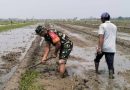 Tingkatkan Produktivitas Pertanian, Koptu Gunawan Dampingi Petani Siapkan Lahan