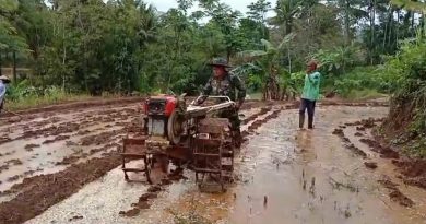 Peran Aktif Babinsa Koramil 0801/09 Sudimoro Bajak Sawah Tingkatkan Hanpangan