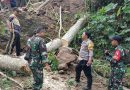 Sigap dan Tangguh! TNI-Polri, BPBD dan Warga Trenggalek Bersatu Lawan Longsor