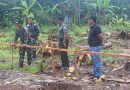 Dukung Gizi Anak Bangsa! Dandim 0806/Trenggalek Tinjau Rencana Pembangunan Dapur Sehat di Desa Gayam