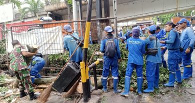 Babinsa Koramil 02/SB Laksanakan Penopingan Pohon