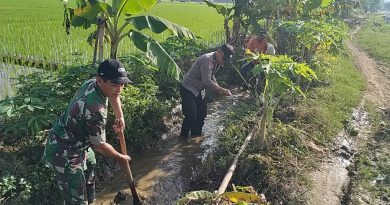 TNI-Polri Dorong Semangat Gotong Royong untuk Majukan Pertanian di Desa Nglongsor