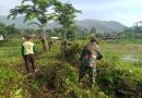 TNI dan Warga Bersatu, Wujudkan Embung Desa Semarum yang Bersih dan Lestari