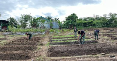 Yonif 141/AYJP Dukung Program Ketahanan Pangan dengan Urban Farming