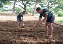 Dukung Program MBG & Hanpangan, Anggota Kodim 0801/Pacitan Buat Bedeng Untuk Ditanami Sayur.