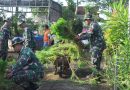 Sinergi TNI & Pemda Wujudkan Agropark sebagai Laboratorium Ketahanan Pangan