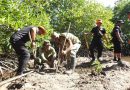 Penanaman Mangrove Kodim 1510/Sula: Langkah Konkret Menjaga Ekosistem Pantai dalam rangkaian Program TMMD Ke-123 di Desa Mangega