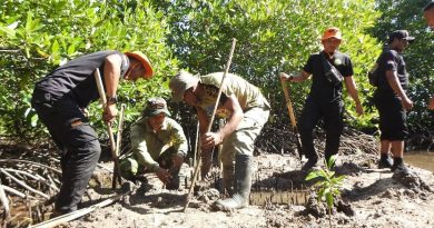 Penanaman Mangrove Kodim 1510/Sula: Langkah Konkret Menjaga Ekosistem Pantai dalam rangkaian Program TMMD Ke-123 di Desa Mangega