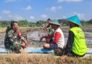 TNI Penjaga Negeri dan Sahabat Petani