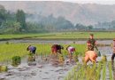 Koptu Gunawan Dampingi Petani Tanam Padi Wujudkan Ketahanan Pangan Nasional