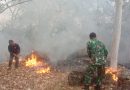Reaksi Cepat Babinsa Kodim Ponorogo Bantu Padamkan Kebakaran Hutan
