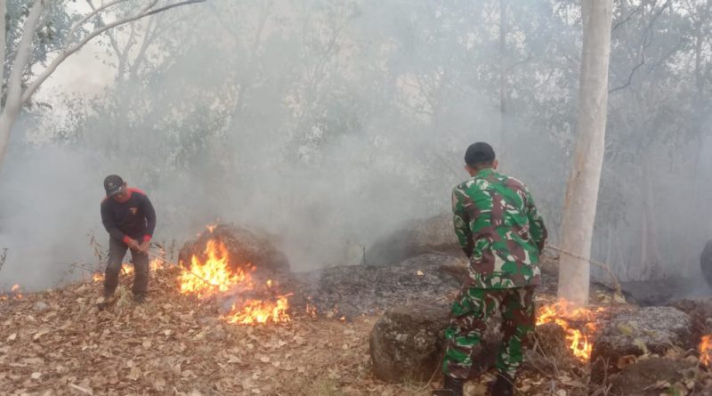 Reaksi Cepat Babinsa Kodim Ponorogo Bantu Padamkan Kebakaran Hutan