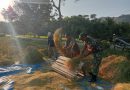 Bantu Panen Padi, Upaya Babinsa Kodim Ponorogo Bantu Tingkatkan Kesejahteraan Petani