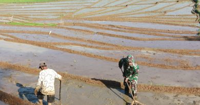 Bantu Olah Lahan Upaya Babinsa Kodim Ponorogo Sejahterakan Petani