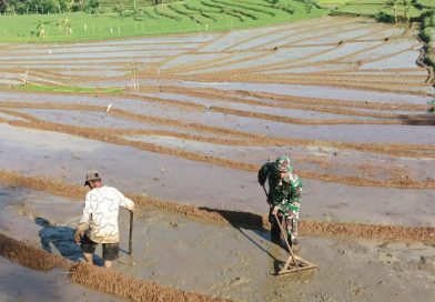 Bantu Olah Lahan Upaya Babinsa Kodim Ponorogo Sejahterakan Petani