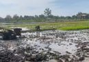 Bantu Petani Olah Sawah, Dedikasi Babinsa Kodim Ponorogo Perkuat Ketahanan Pangan Desa