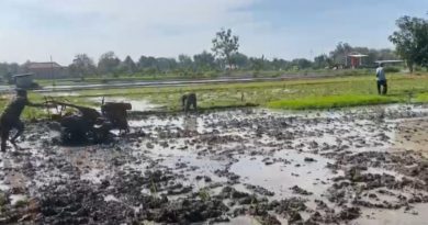 Bantu Petani Olah Sawah, Dedikasi Babinsa Kodim Ponorogo Perkuat Ketahanan Pangan Desa
