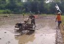 Babinsa Sukodono Turun ke Sawah, Dampingi Petani Bajak Lahan Demi Tingkatkan Produktivitas Pertanian