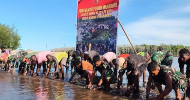 Bersatu Dengan Alam, Satgas TMMD Kodim 1710/Mimika Tanam Ribuan Bibit Mangrove