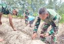 Manfaatkan Lahan Tidur, Satgas TMMD Ke-128 Kodim 1710/Mimika Tanam Jagung Bersama Warga Manfaatkan Lahan Tidur, Satgas TMMD Ke-128 Kodim 1710/Mimika Tanam Jagung Bersama Warga
